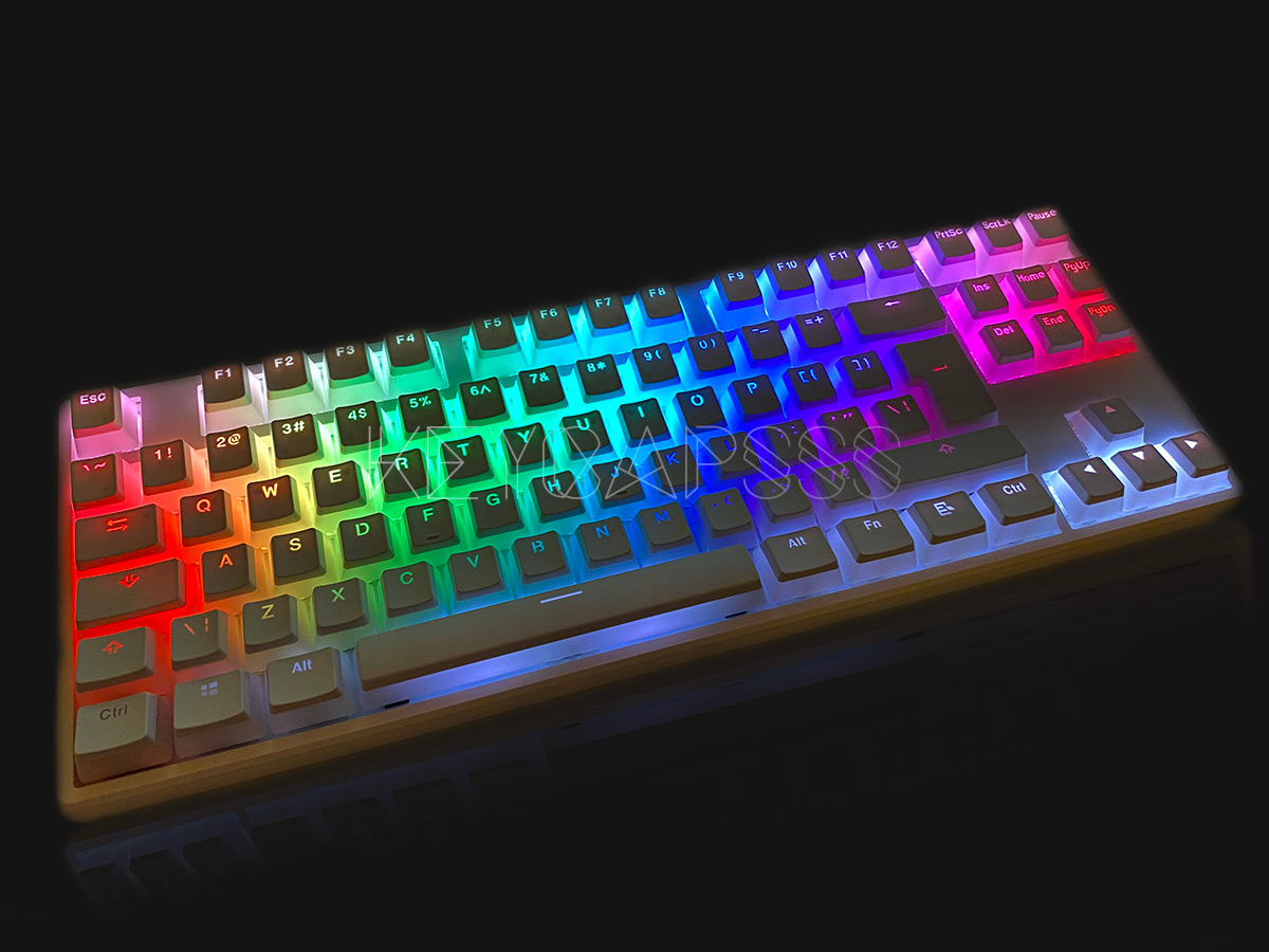 OEM Pudding Keycaps Backlit PBT Doubleshot for MX Switches